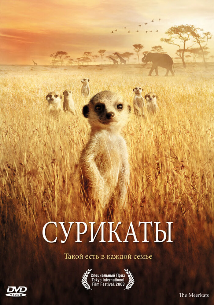 Сурикаты (2007) постер